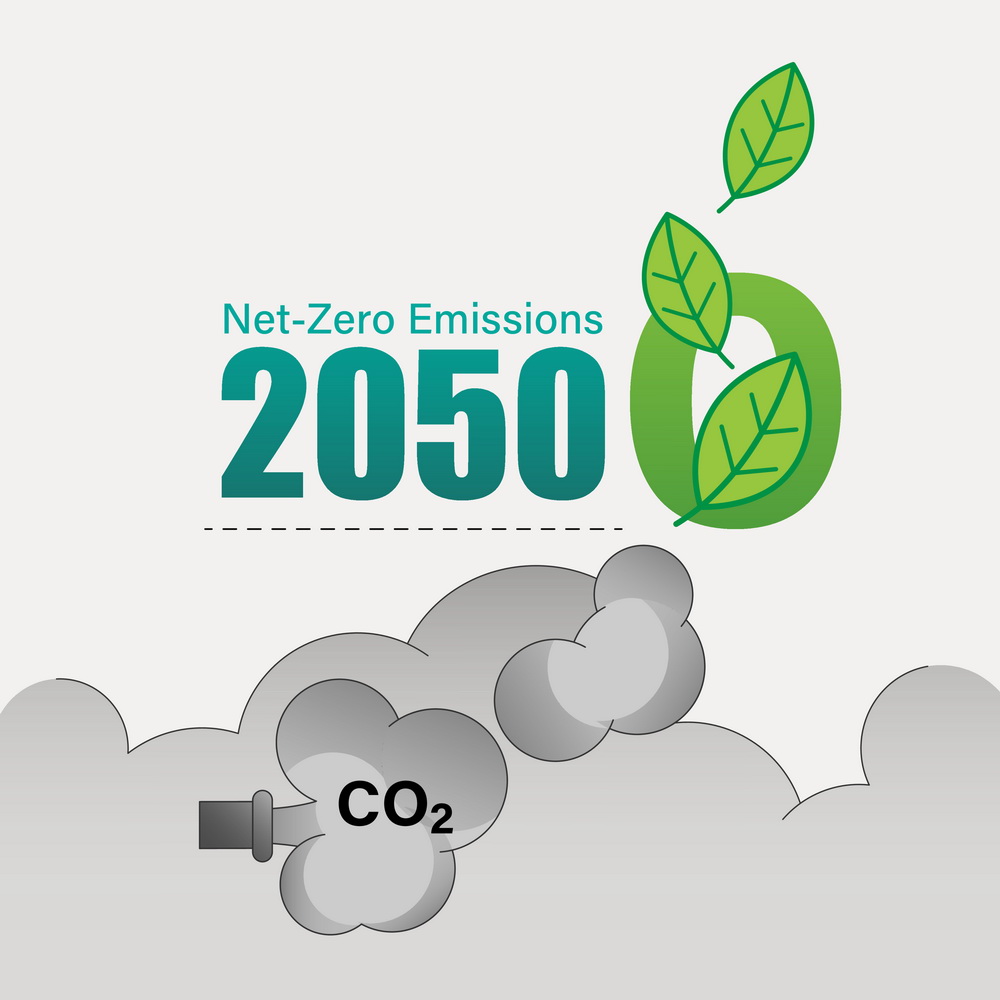 Carbon Net Zero 2050